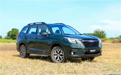 SỞ HỮU SUBARU FORESTER VÀ NHẬN NHỮNG ƯU ĐÃI TRONG THÁNG 11/2024