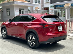 Lexus NX 300