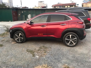 Hyundai Kona 2.0 AT Đặc biệt