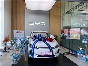 BYD M6