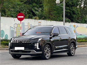 Hyundai Palisade Prestige