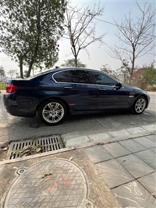 BMW 5 Series 520i