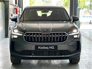 Skoda Kodiaq Style 2.0 TSI Turbo 4x4