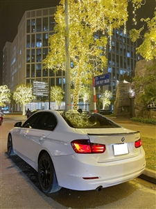 BMW 3 Series 320i