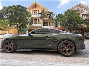 Ford Mustang GT 5.0L