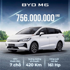 BYD M6