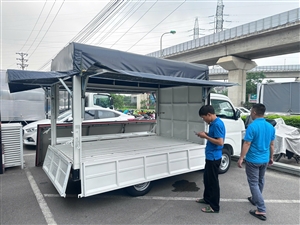 Suzuki Carry Pro