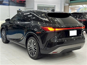 Lexus RX 350 Luxury